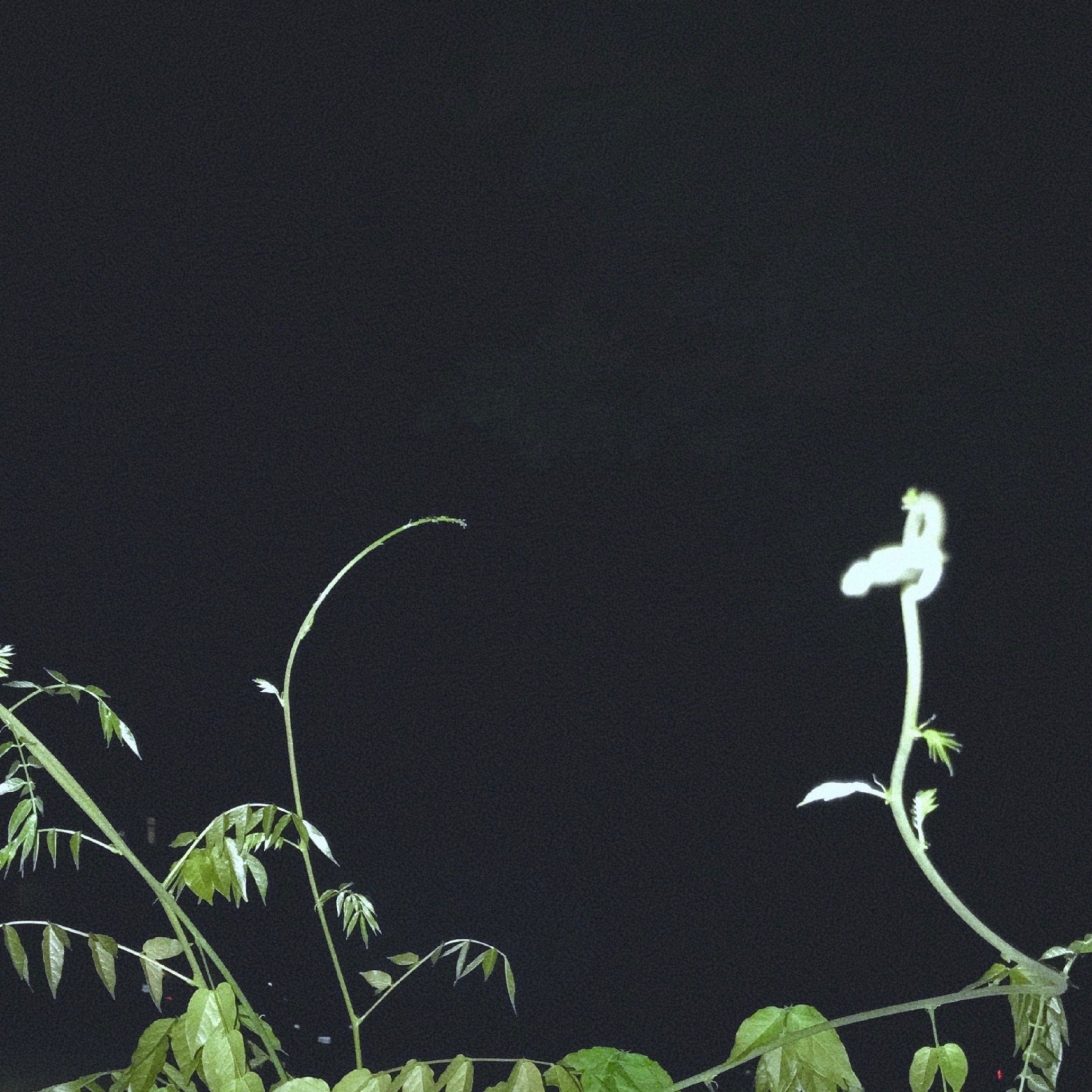 Fff - EP album cover