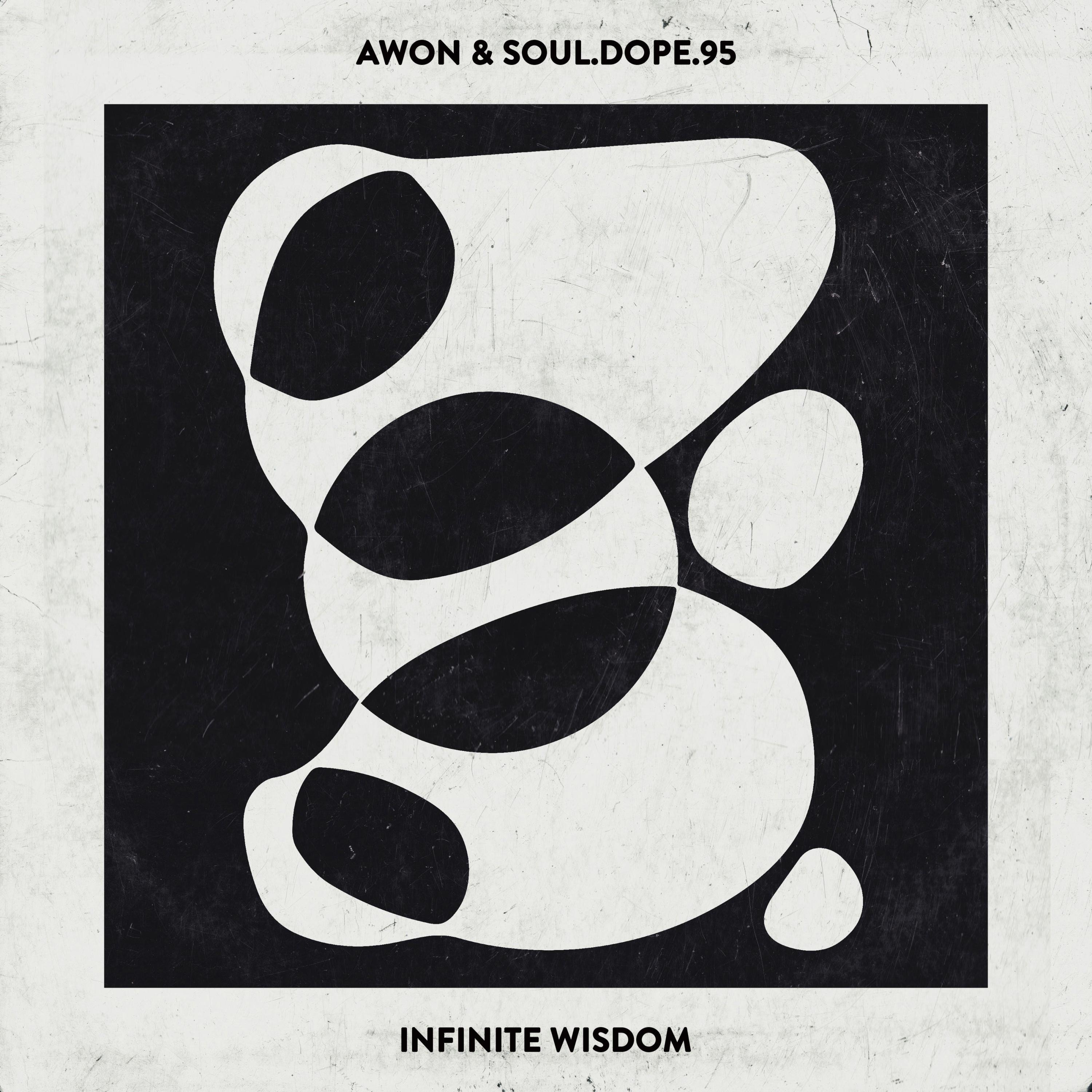 Infinite Wisdom album cover