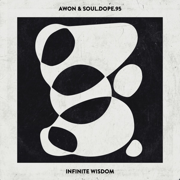 Infinite Wisdom album cover