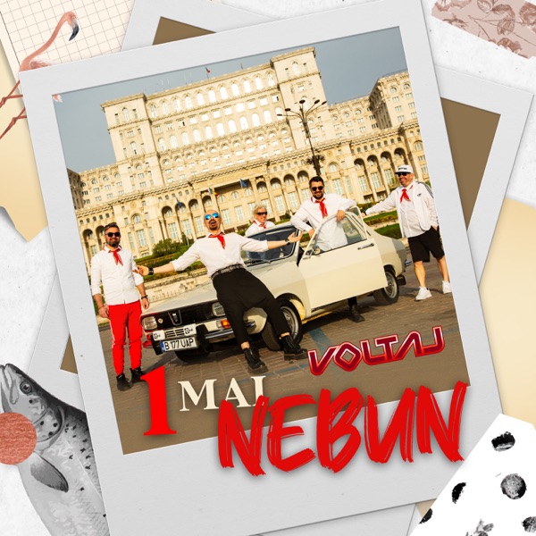 1 Mai nebun - Single album cover
