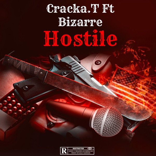 Hostile (feat. Bizarre) - Single album cover