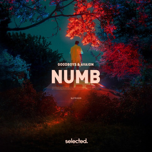 Numb - Single album cover