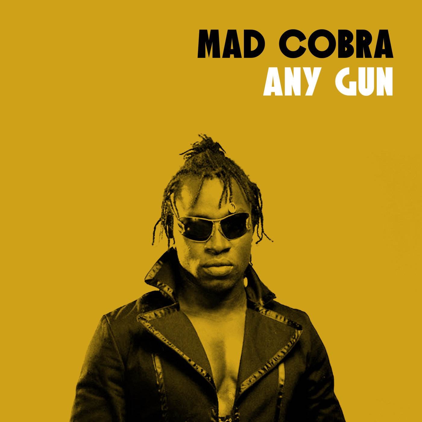 Any Gun album cover