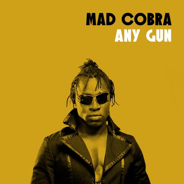 Any Gun album cover