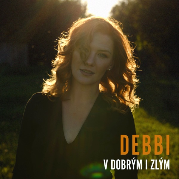 V DOBRÝM I ZLÝM - Single album cover