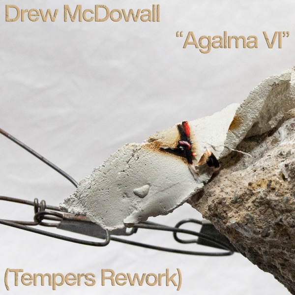 Agalma VI (Tempers Rework) - Single album cover