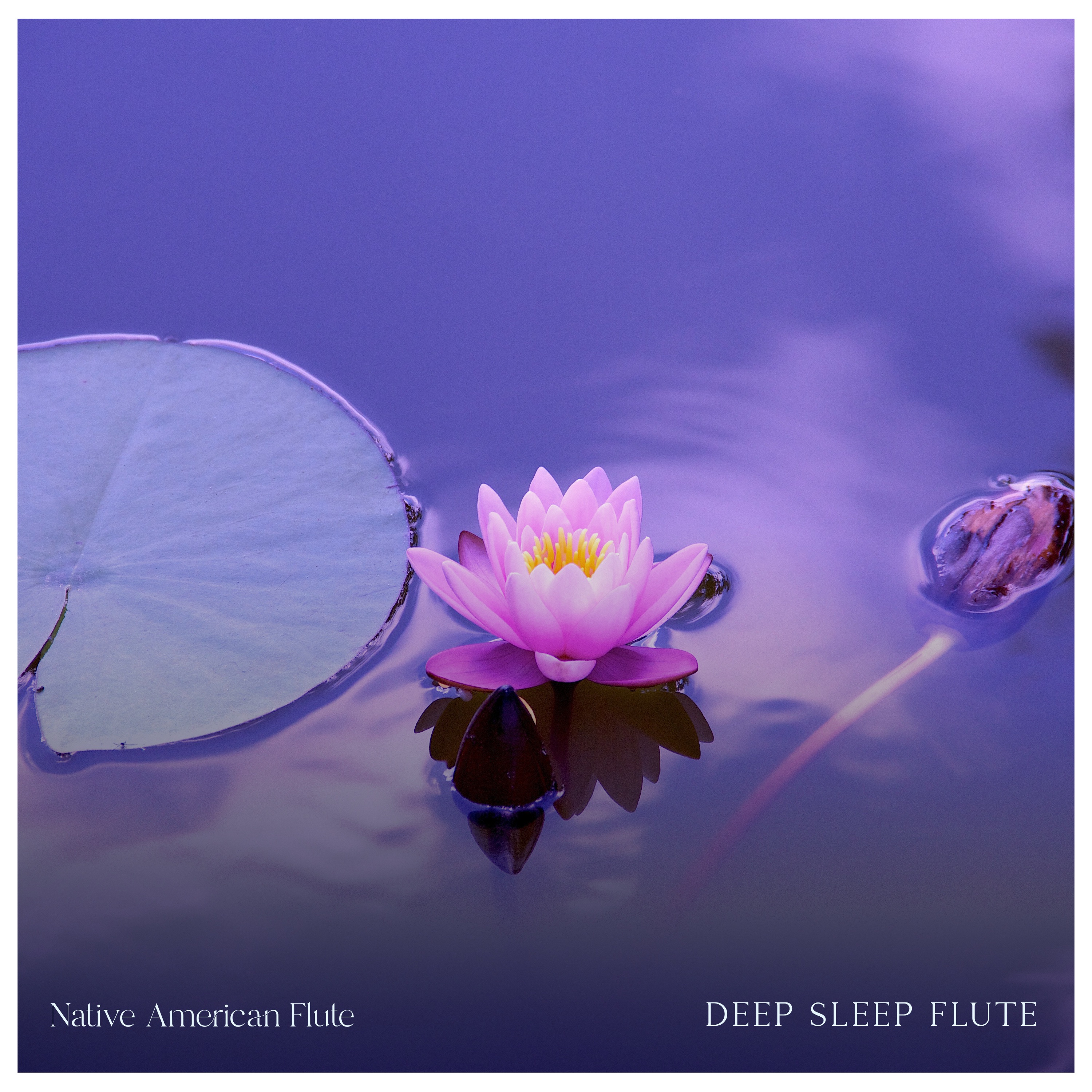 Deep Sleep Flute album cover