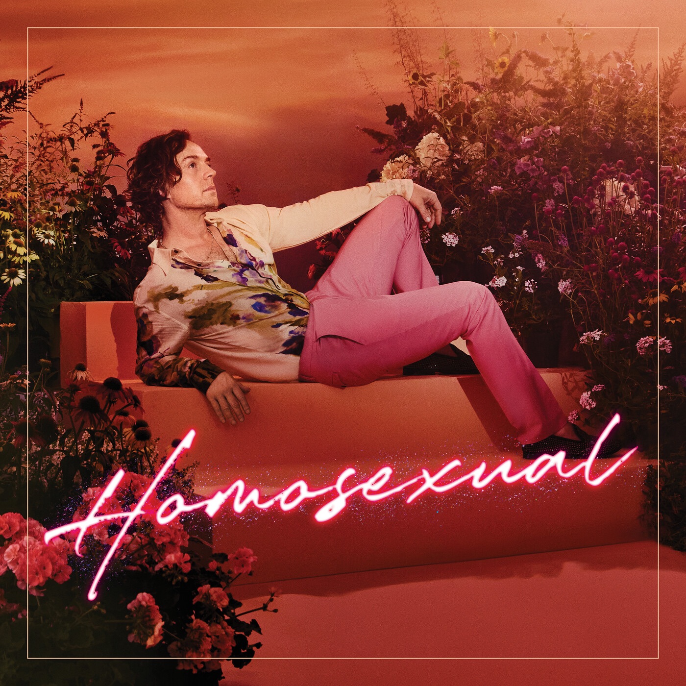 Homosexual album cover