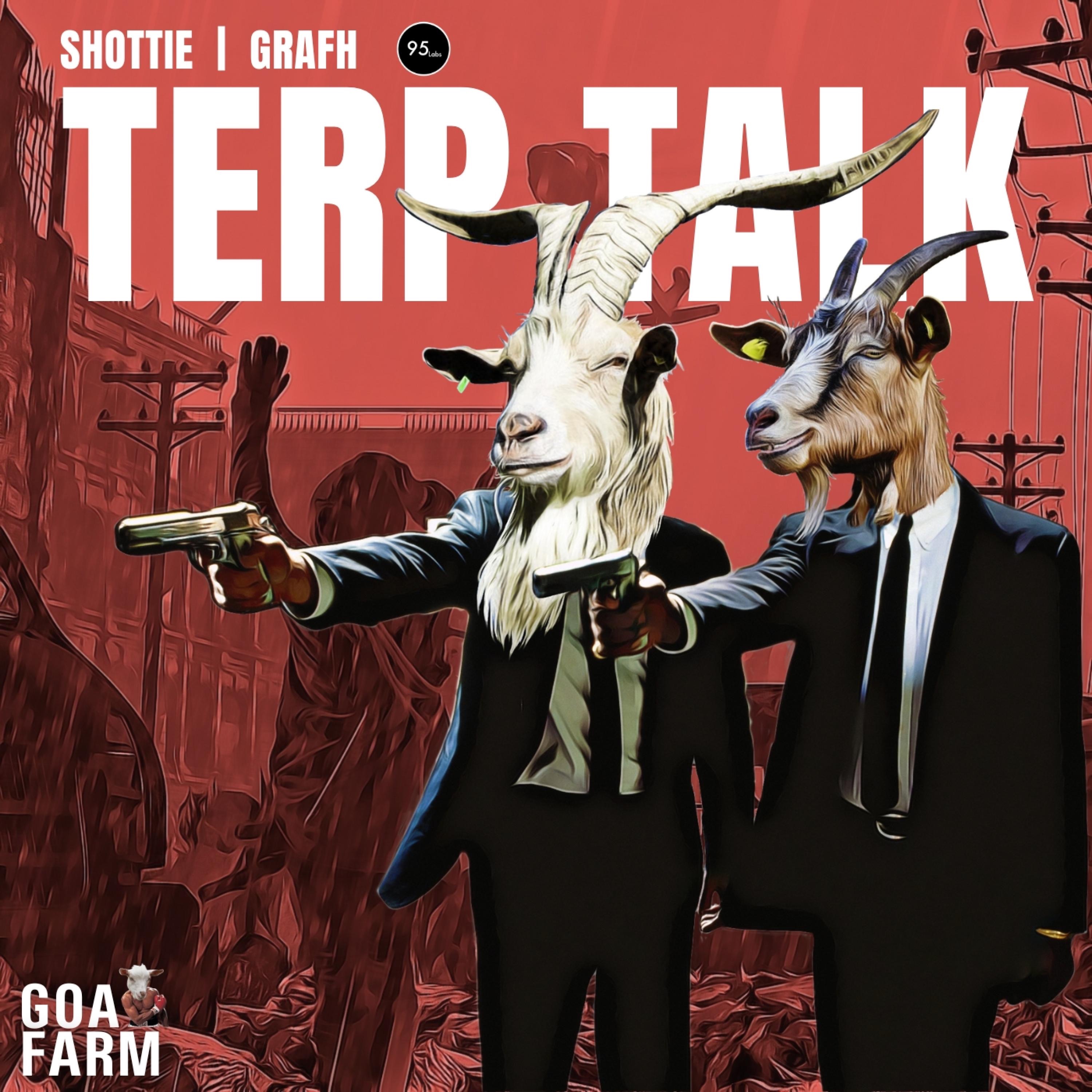 Terp Talk - Single album cover