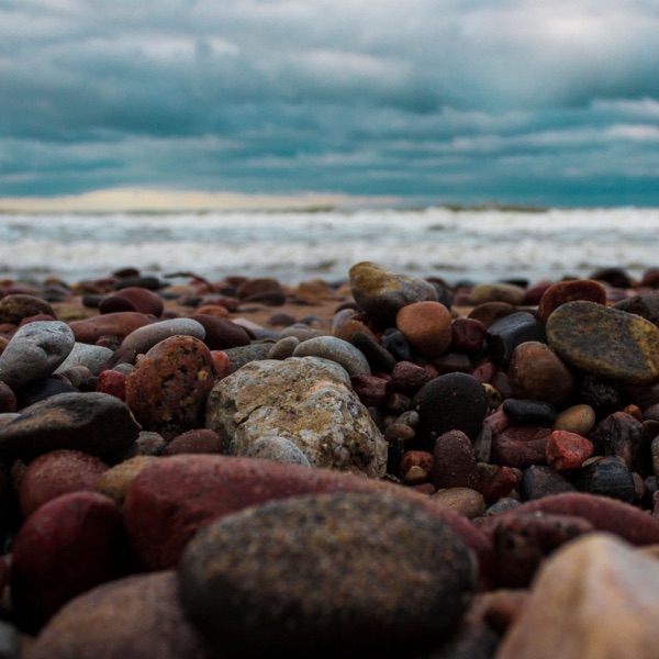 Ride Along - Single album cover