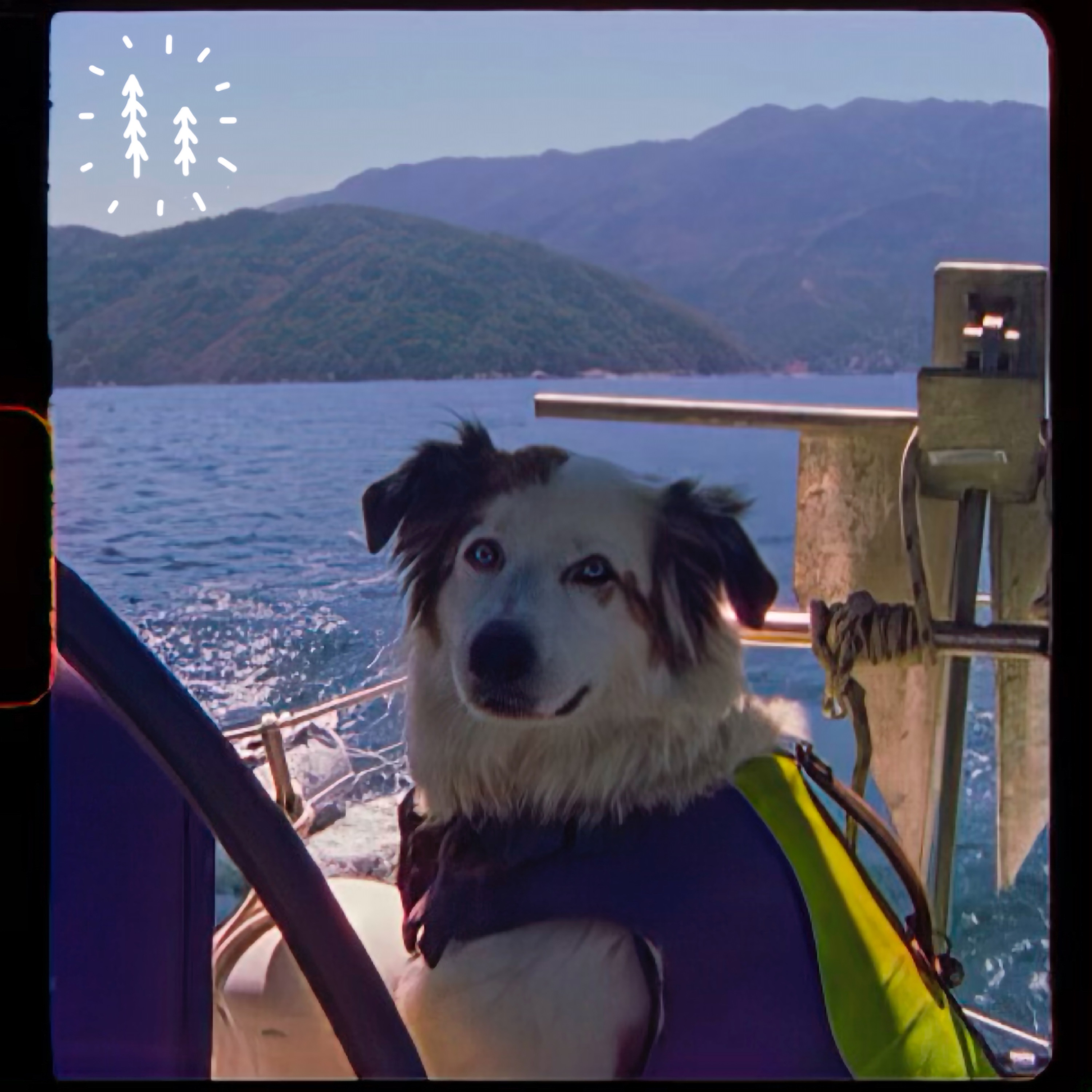Mexico - Single album cover