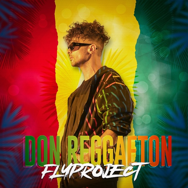 Don Reggaeton - Single album cover