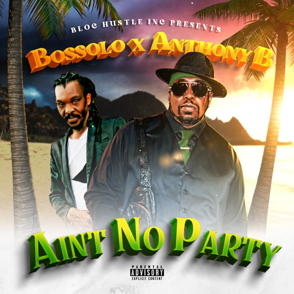 Aint No Party (Remix) - Single album cover