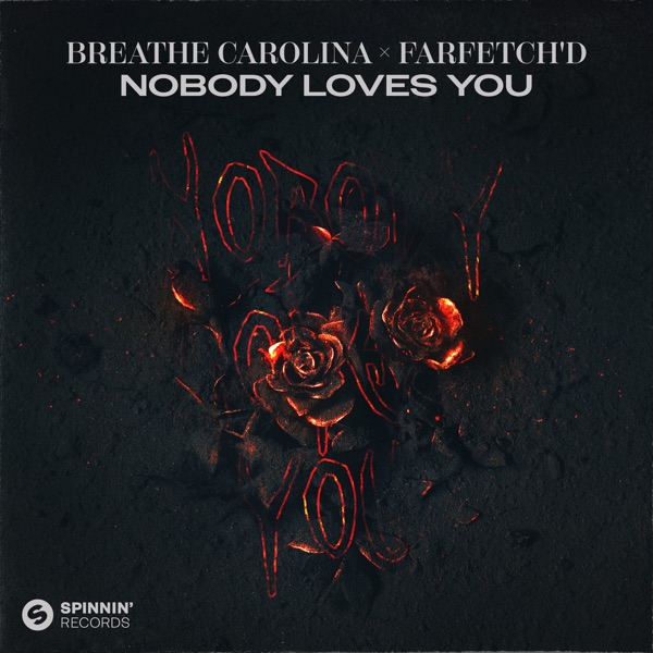 Nobody Loves You - Single album cover
