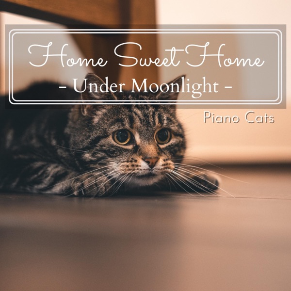 Home Sweet Home - Under Moonlight album cover