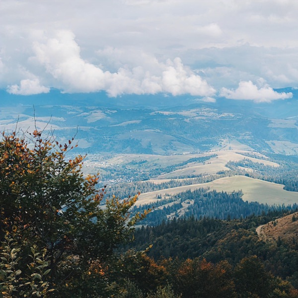 Rodych - Single album cover