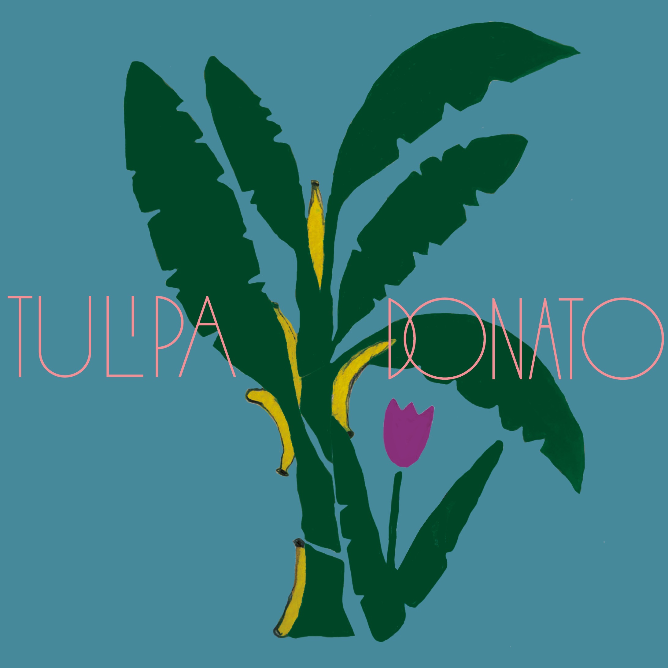 Tulipa e Donato - Single album cover