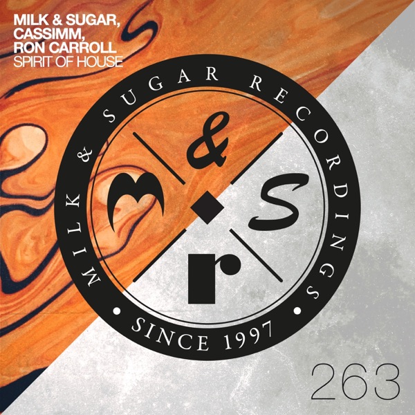 Spirit of House (Extended Mix) - Single album cover