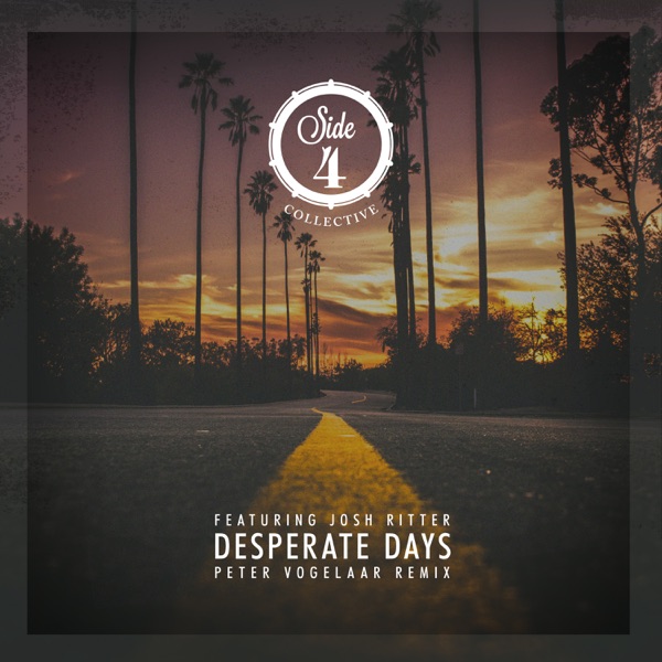 Desperate Days (Peter Vogelaar Remix) [feat. Josh Ritter] - Single album cover