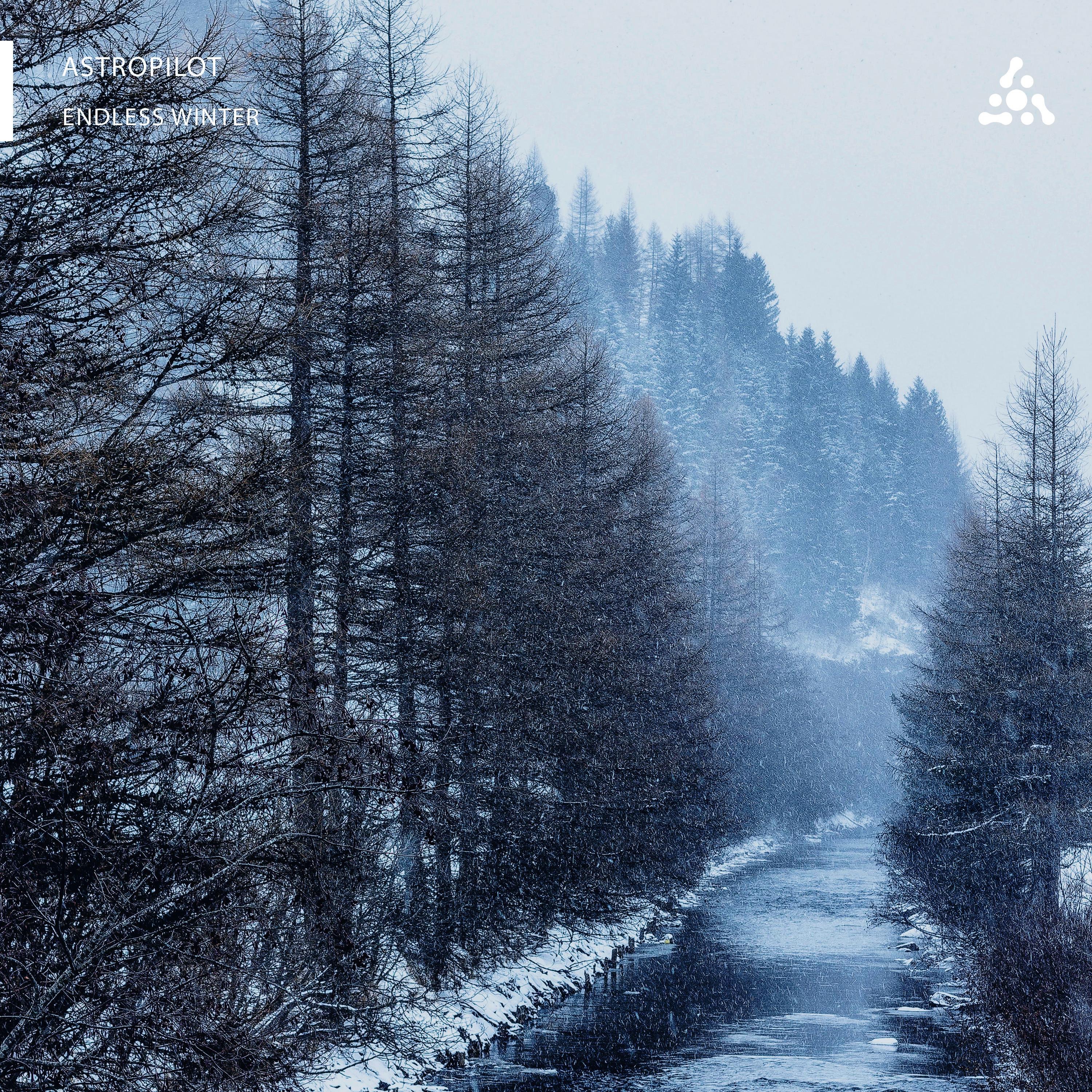 Endless Winter - Single album cover