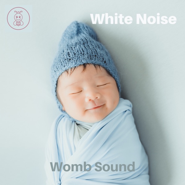 White Noise: Womb Sound - Single album cover