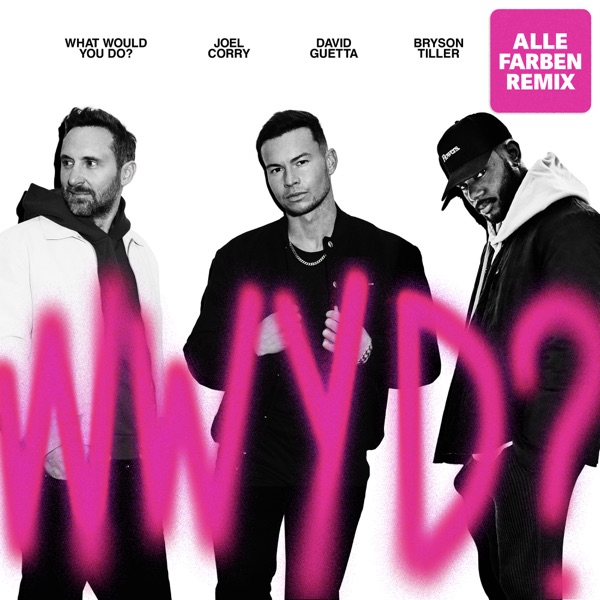 What Would You Do? (feat. Bryson Tiller) [Alle Farben Remix] - Single album cover
