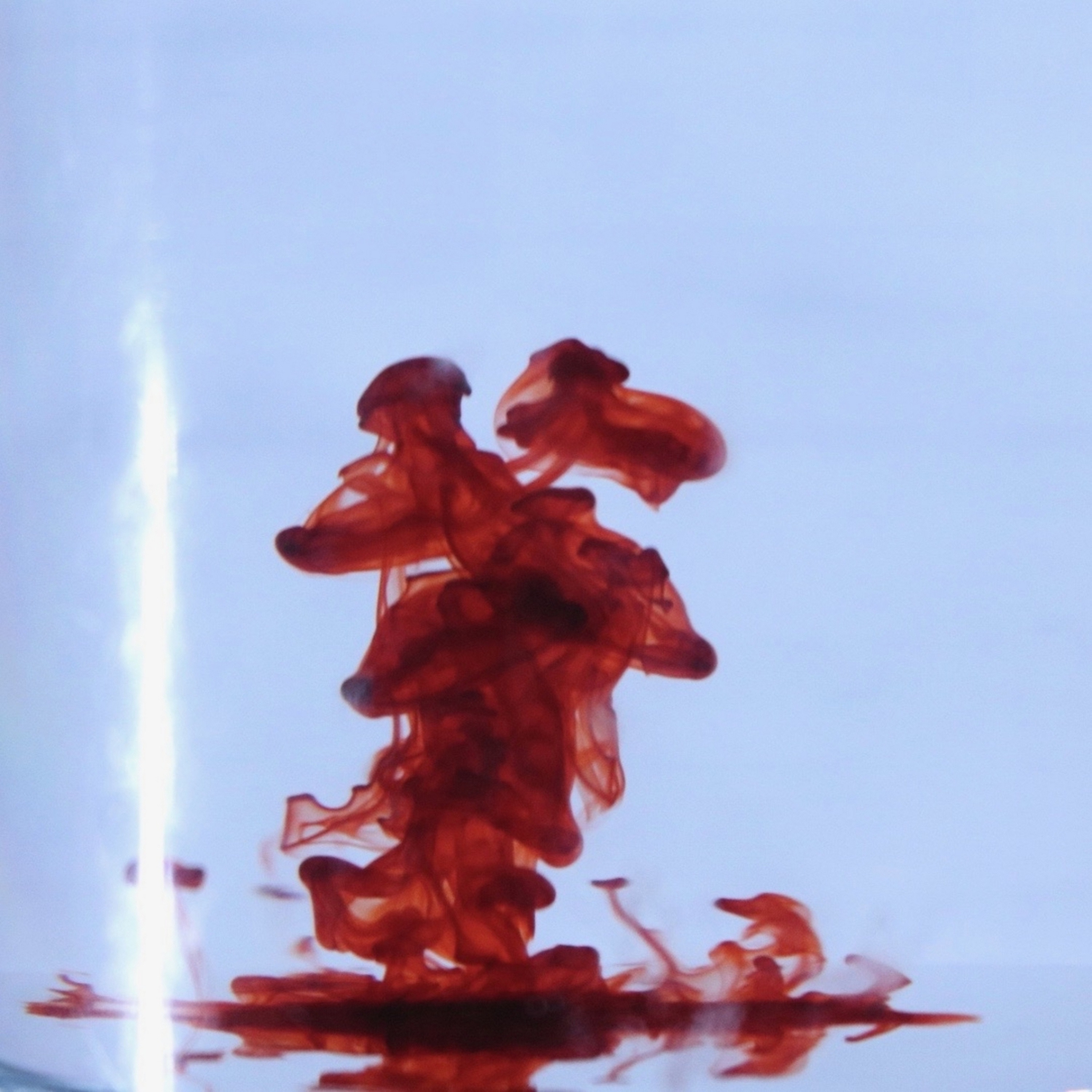 The Haunt - EP album cover