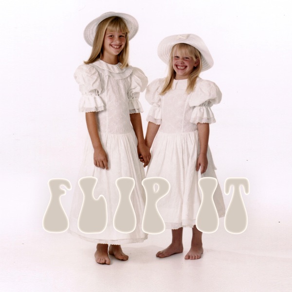 Flip It - Single album cover