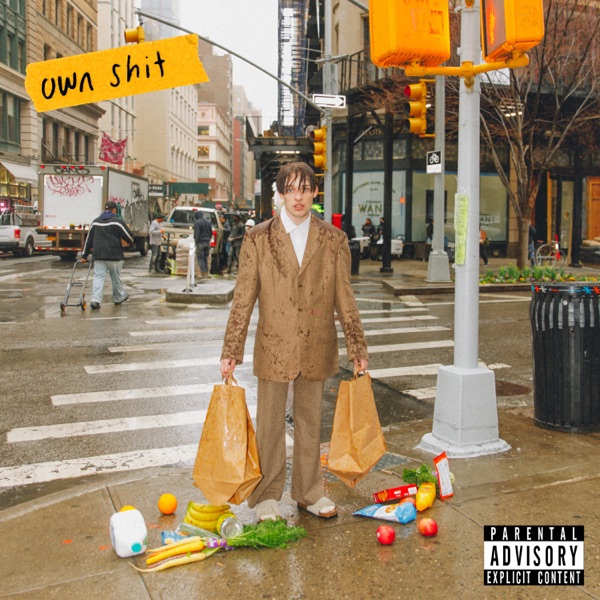 own sh¡t - Single album cover