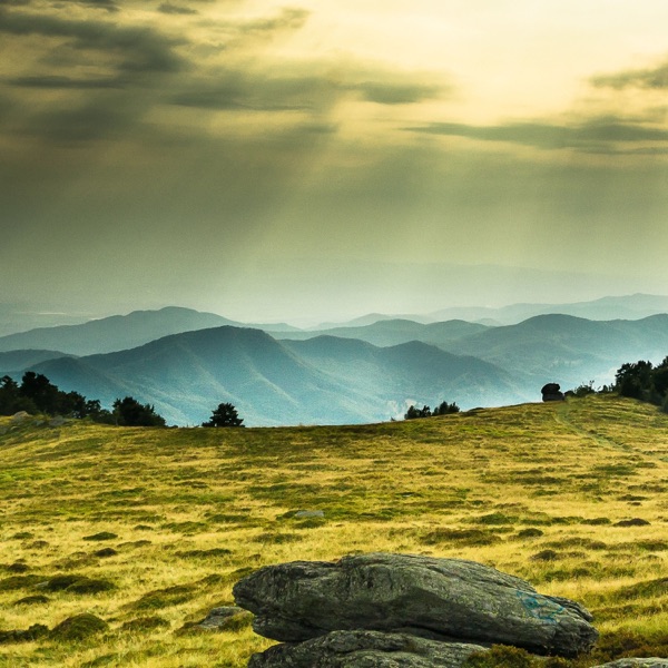 Never - Single album cover