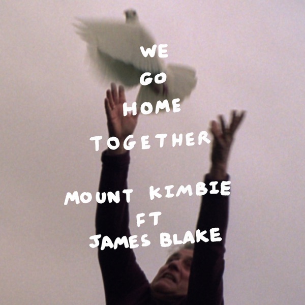 We Go Home Together (feat. James Blake) - Single album cover