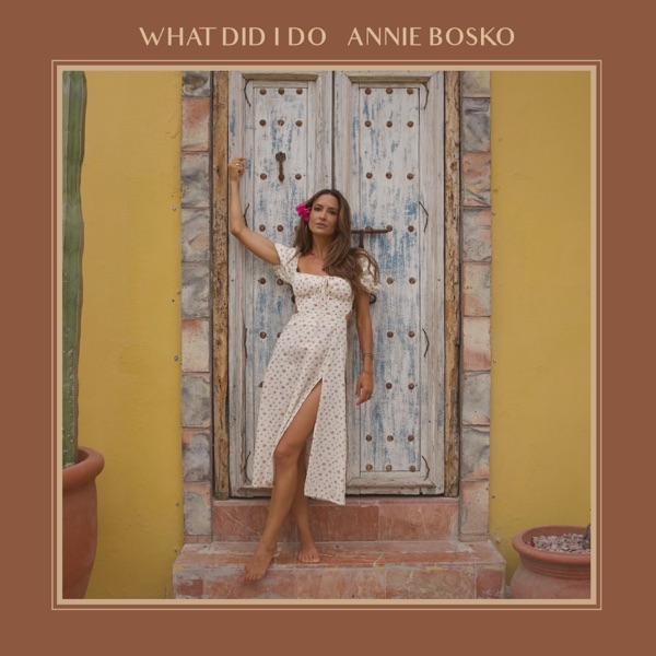 What Did I Do (feat. Raul Malo) - Single album cover