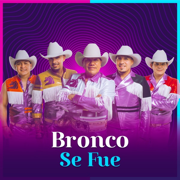 Se Fue - Single album cover