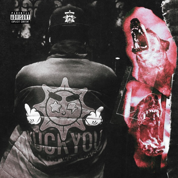 Kaine's Diary album cover