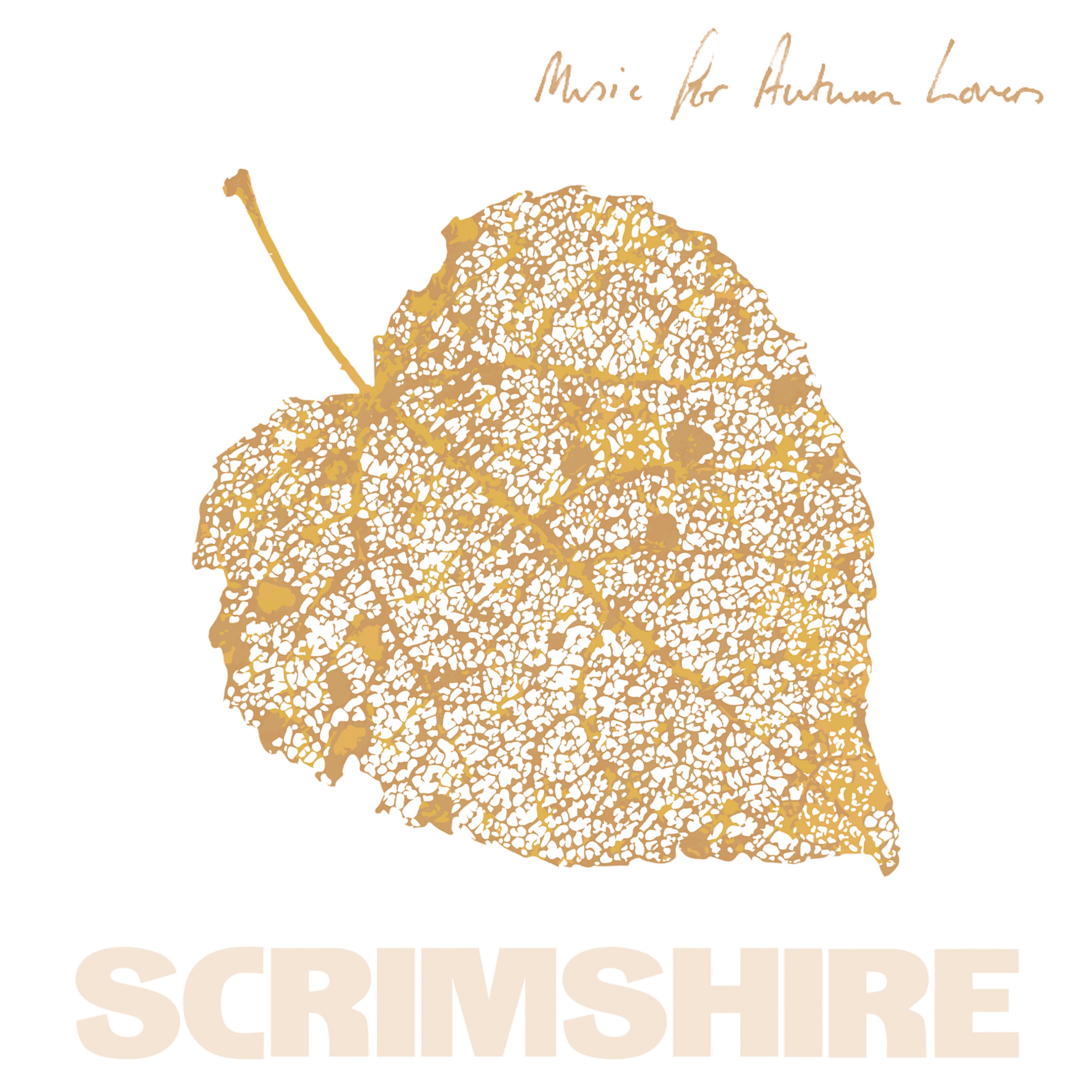 Music for Autumn Lovers album cover