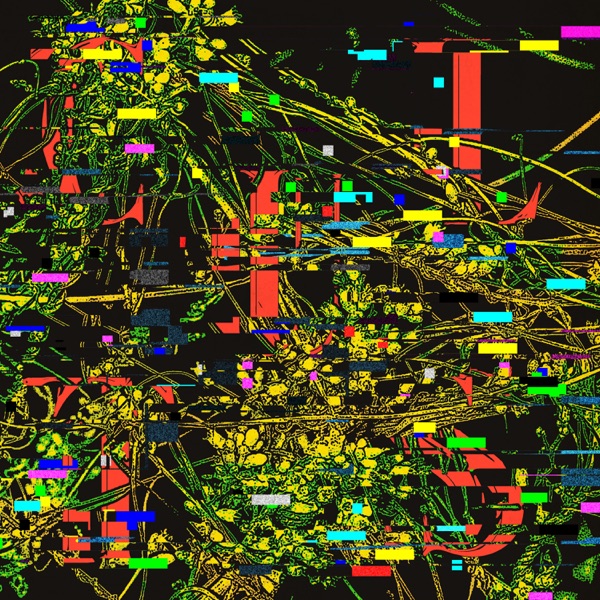 Host B Sides & Remixes album cover