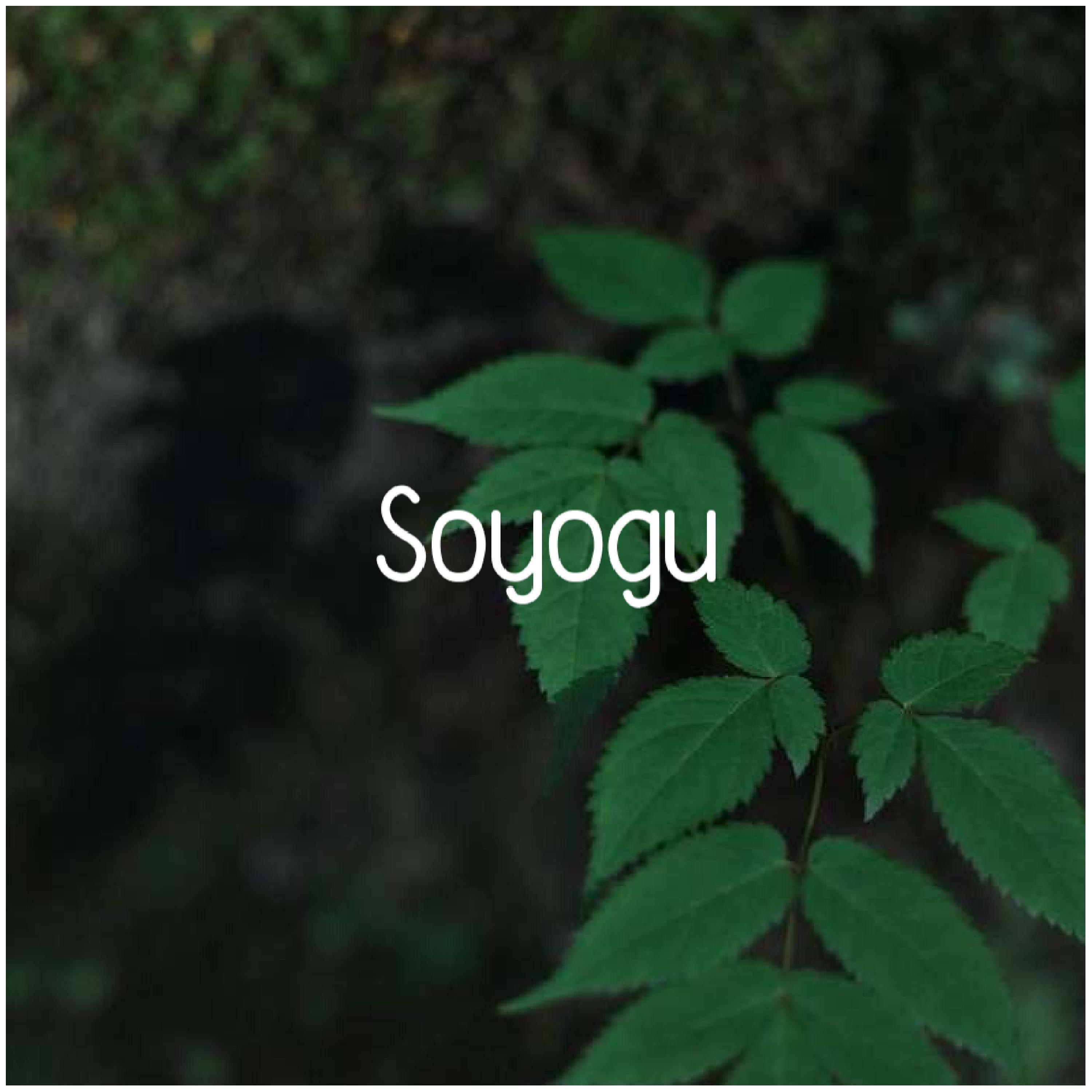 Soyogu album cover