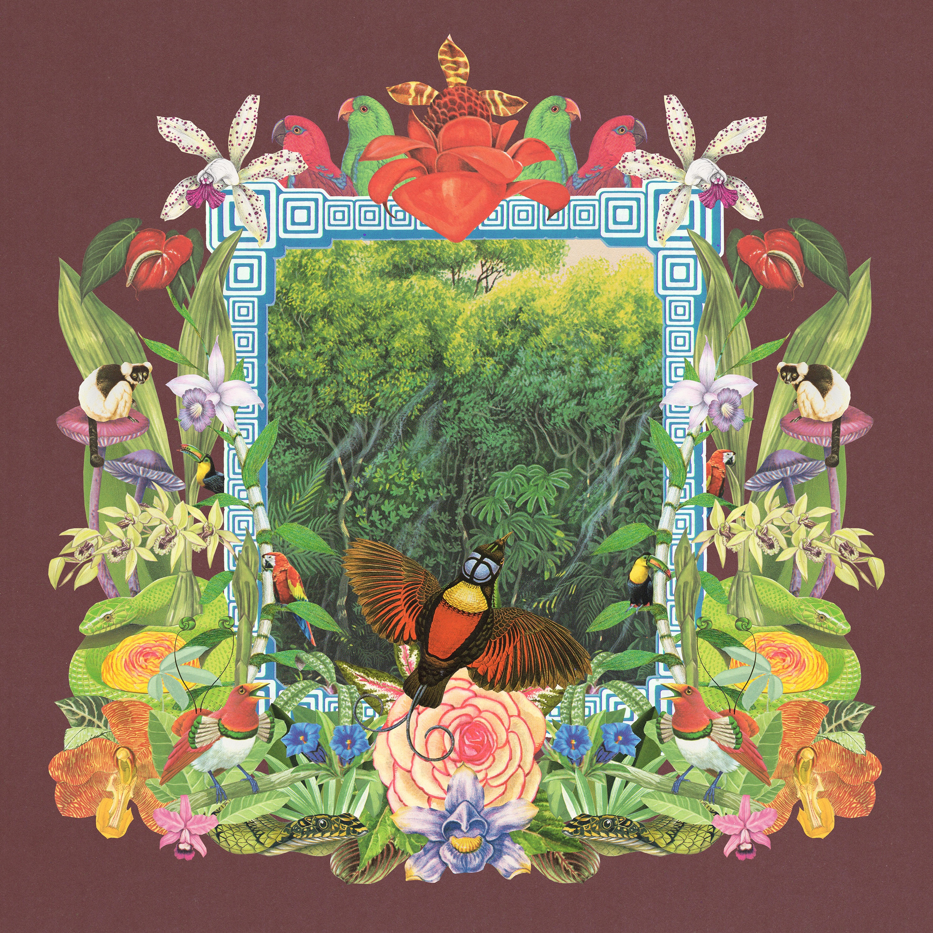 Botanica Dream album cover