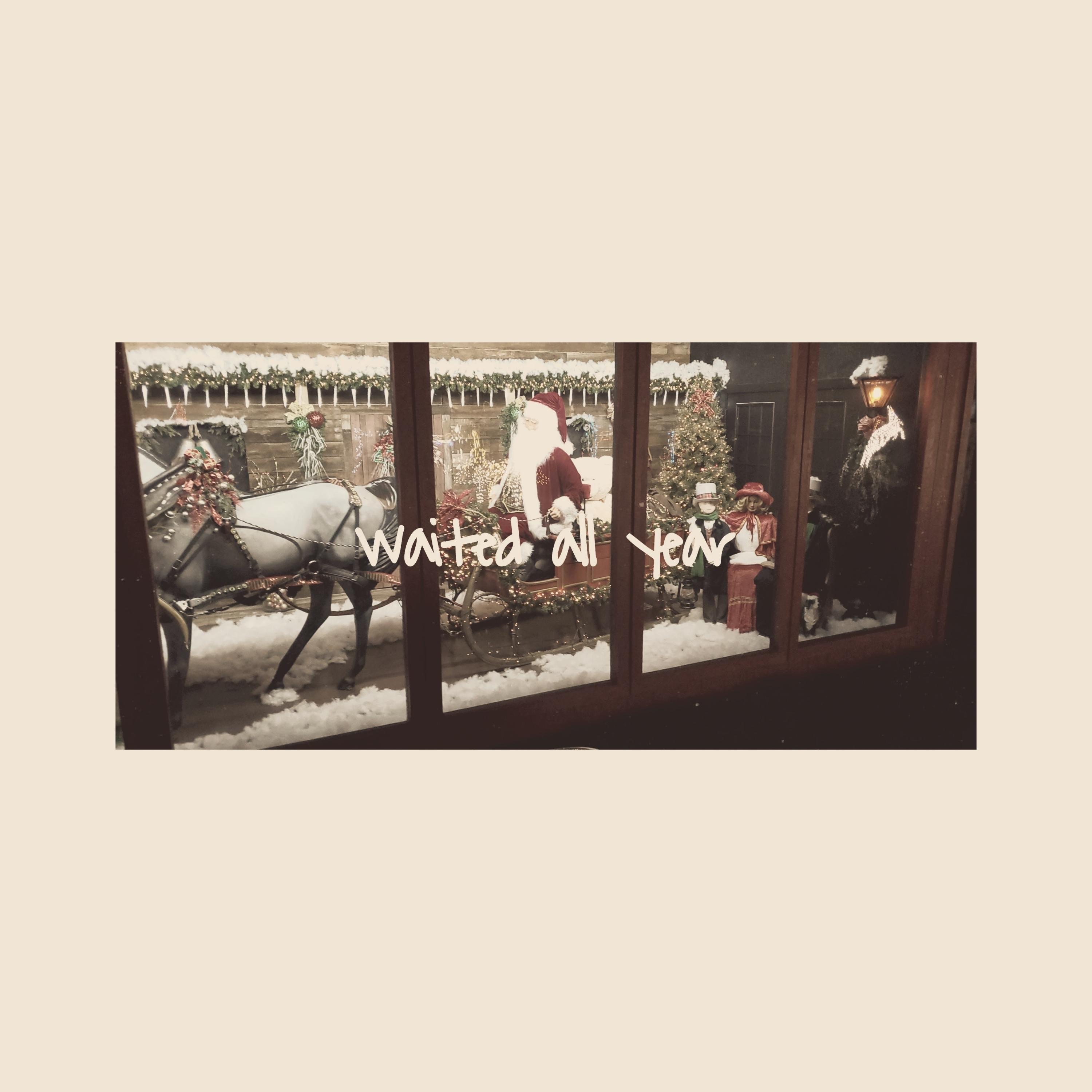 Waited All Year - Single album cover