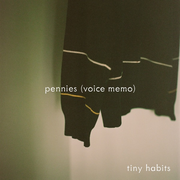 pennies (voice memo) - Single album cover