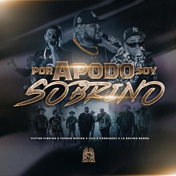 Por Apodo Soy Sobrino (En Vivo) [feat. La Decima Banda] - Single album cover