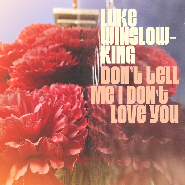 Don't Tell Me I Don't Love You - Single album cover