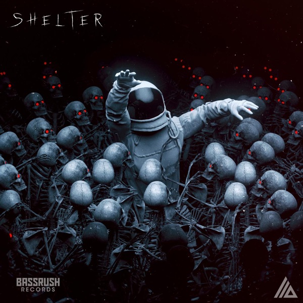 Shelter - Single album cover