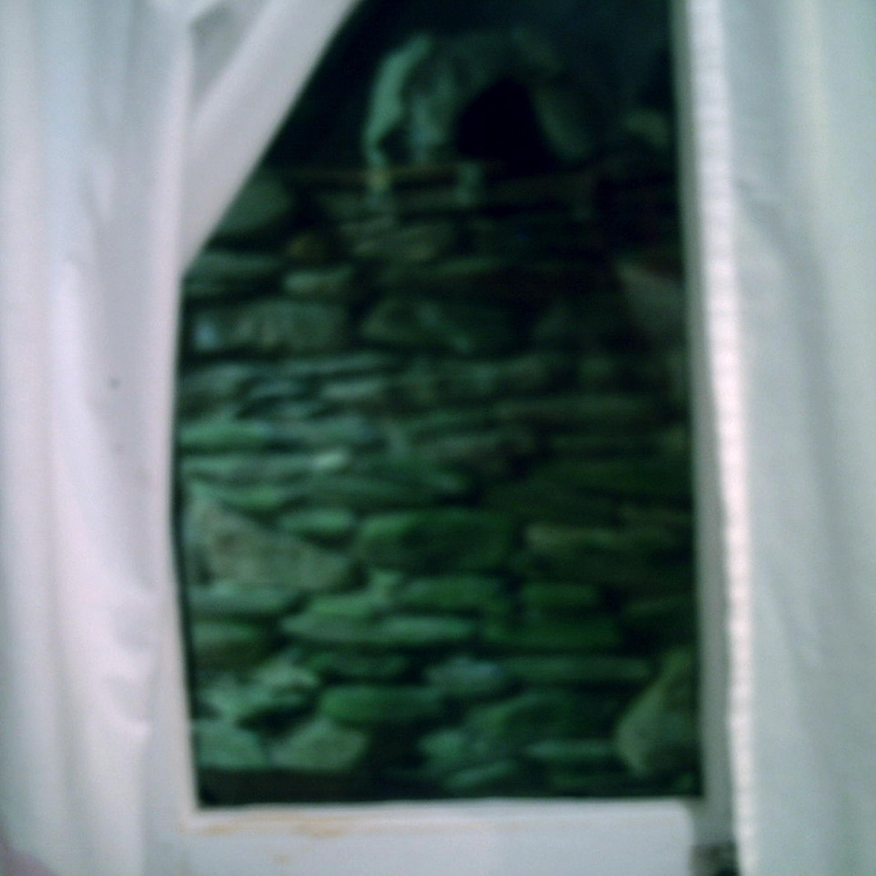 Forgot - Single album cover