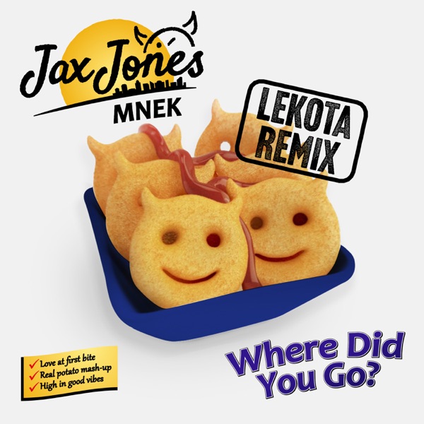 Where Did You Go? (Lekota Remix) - Single album cover