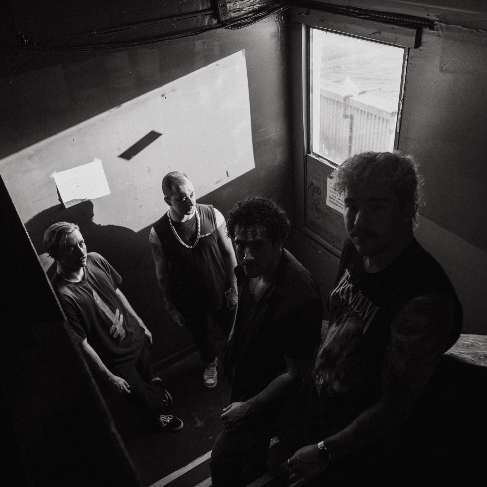 Distinguisher portrait