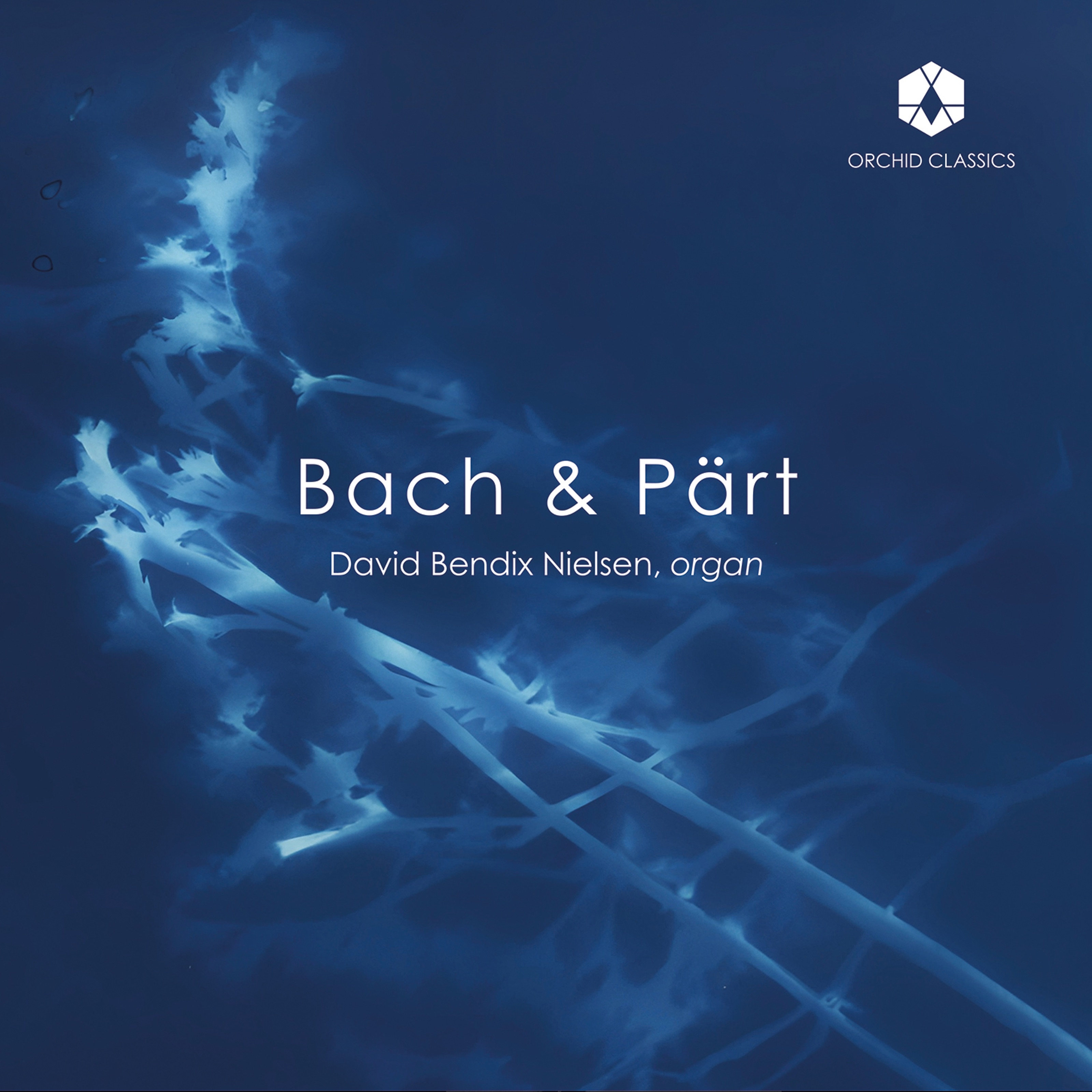 J.S. Bach & Arvo Pärt: Organ Works album cover