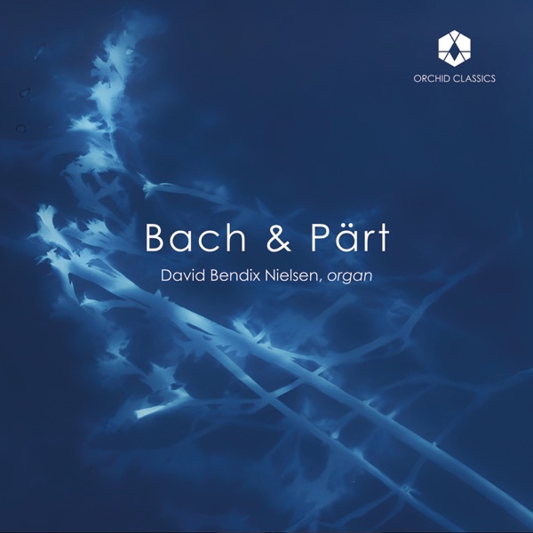 J.S. Bach & Arvo Pärt: Organ Works album cover