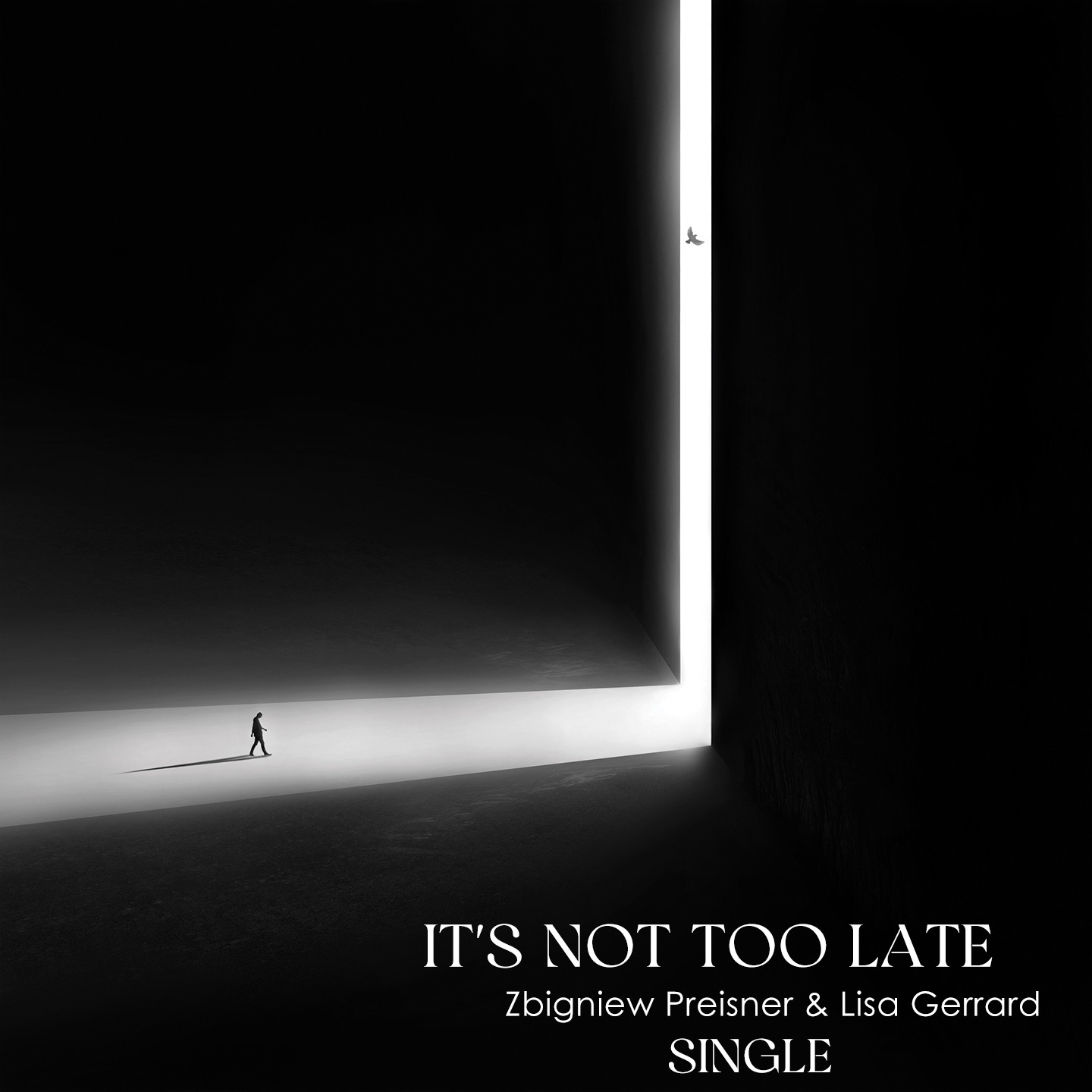 It's Not Too Late - Single album cover