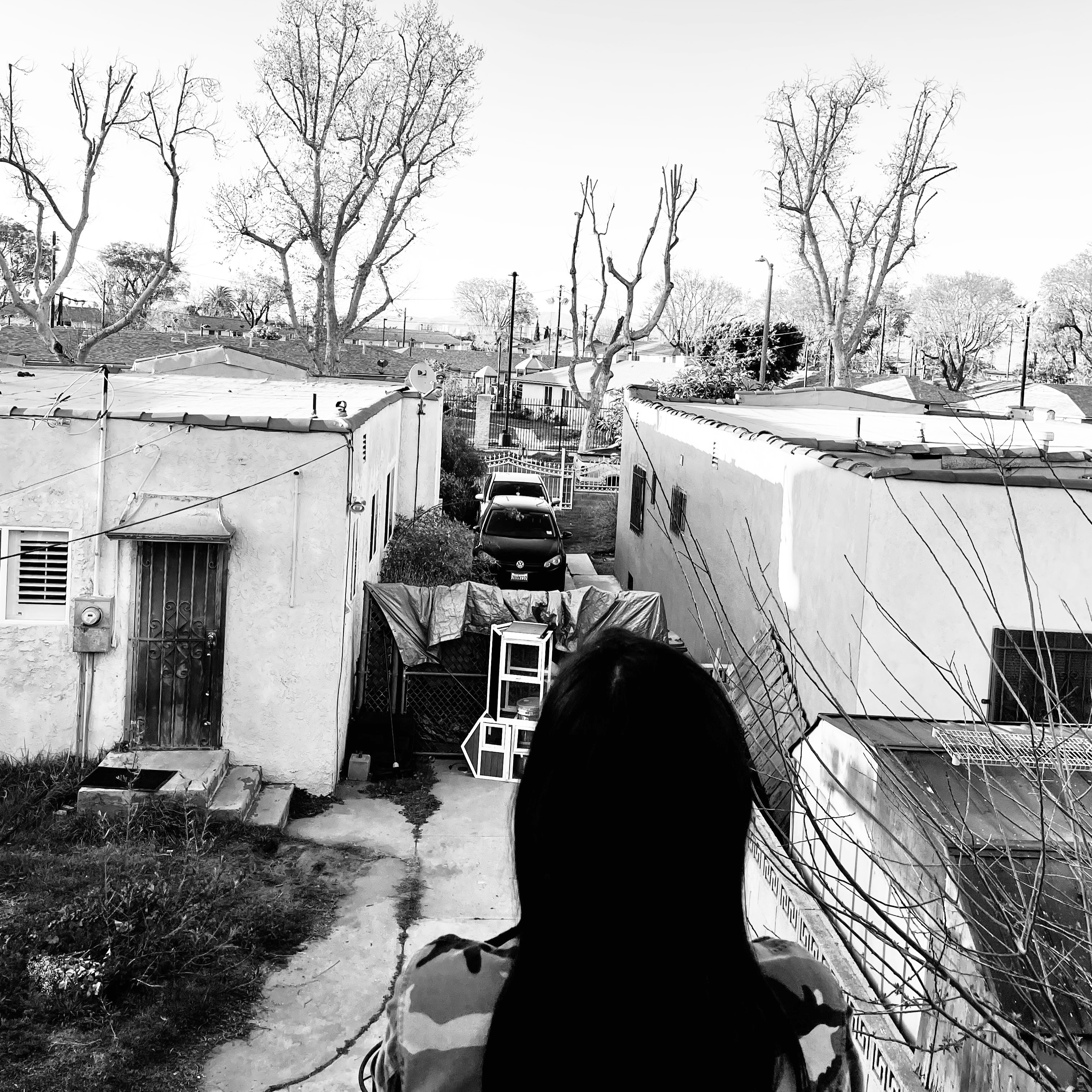 Regeneracion album cover